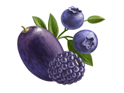 Berries berries blackberry blueberry grape