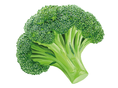 Broccoli broccoli food vegetable