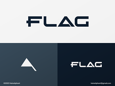 Flag - logo concept