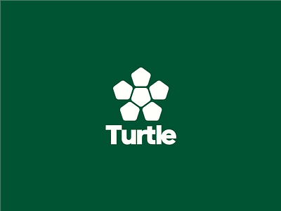 Turtle logo