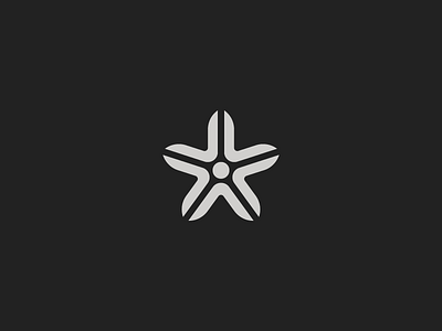 Star Bloom logo shapes