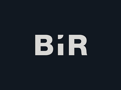 Bir brand design branding logo semantic typography