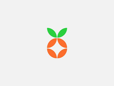 Orange   Geometric Icon