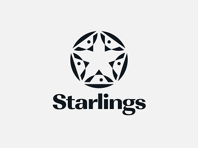 Starlings brand design branding icon logo logotype star logo starlings typography