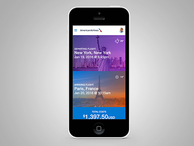 American Airlines Flight Confirmation and Payment airlines flight gradients responsive sketch swiss.