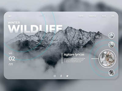 Winter WILDLIFE branding design graphic design minimal ui ux web website