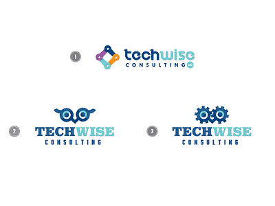 Techwise - NEED LOGO ADVICE advice blue help logo owl tech