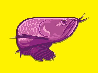 Not Tukul Arwana fish fish logo fish vector vector vector illustration vectorart
