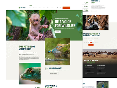 WiHelp - Wildlife Animal Protection WordPress Theme animals causes charity clean creative crowdfunding design donation modern nonprofit pavothemes pets protection responsive web design web development websites wildlife wordpress wordpress theme