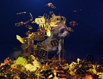 Baller Chihuahua 3d 3d animation animation