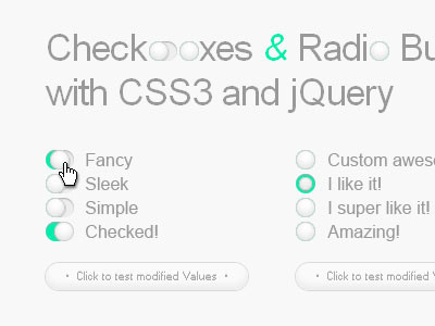 Checkboxes Radio Buttons