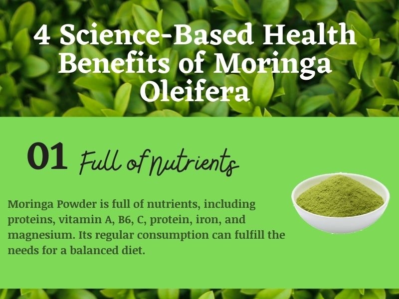 4 Science Based Health Benefits Of Moringa Oleifera By Dhow Nature ...