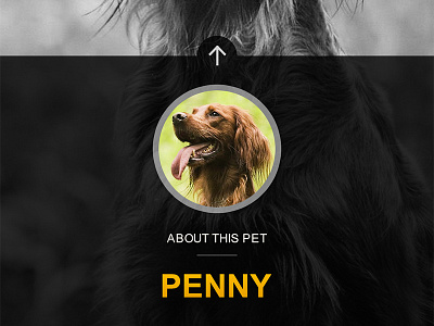 Pet Profile - App Screenshot