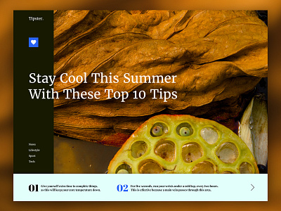 Stay Cool brown design interface photography summer tips ui ux web