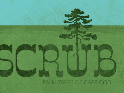 scrub pines, the palm trees... chrisgillis dailyshot texture typography