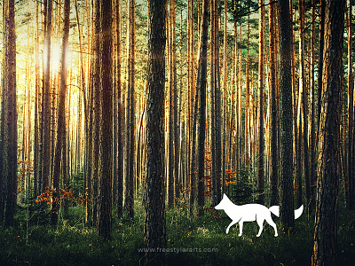 #9 Fox in the Forest creative forest fox photo manipulation place vector wallpaper wood