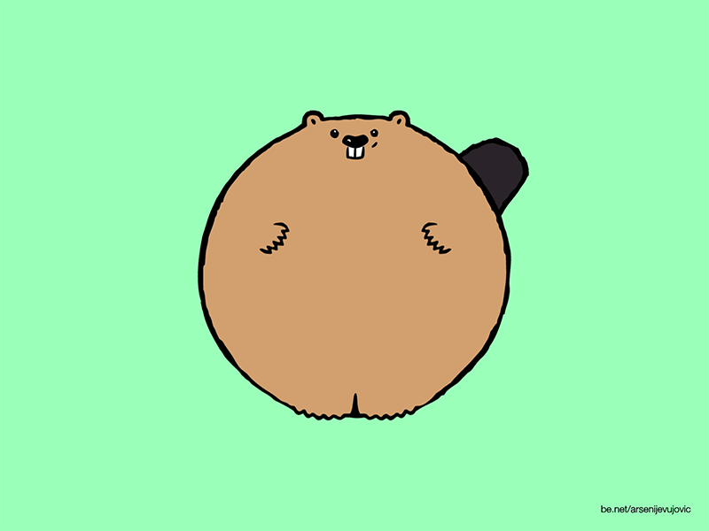 Animals - 08 - Beaver