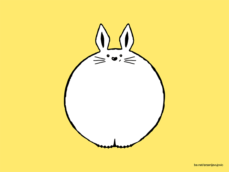 Animals - 14 - Rabbit
