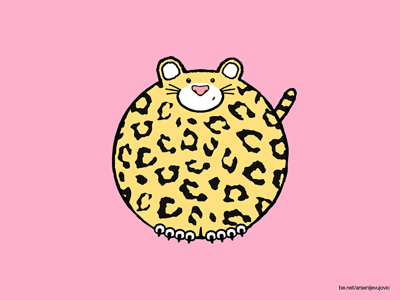 Animals - 21 - Leopard