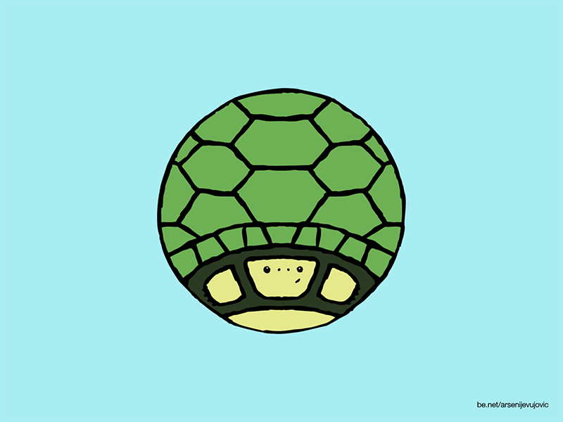 Animals - 22 - Turtle animal animals animation cat characterdesign graphic illustration motion motiongraphics turtle wild zoo