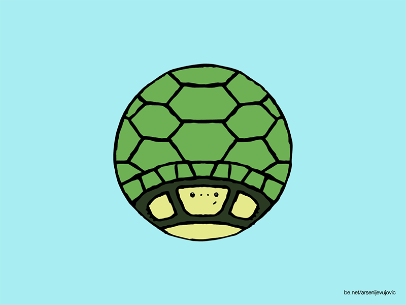Animals - 22 - Turtle
