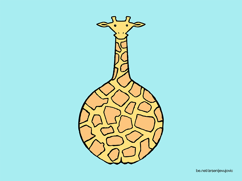 Animals - 26 - Giraffe