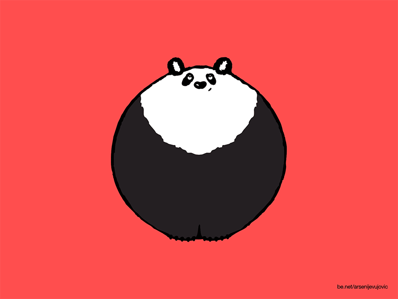 Animals - 42 - Panda