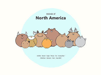 Animals - Animals of North America america animal animals animation characterdesign forest graphic illustration motion motiongraphics north zoo