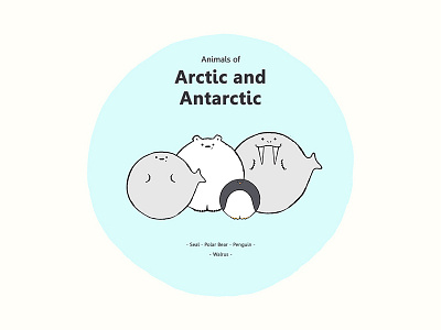 Animals - Animals of Arctic and Antarctic animals animation antarctic arctic characterdesign graphic illustration motion motiongraphics polar wild zoo