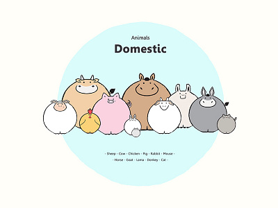 Animals - Domestic Animals