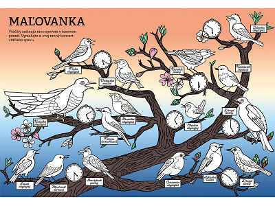 Singing birds - final birds birds illustration illustration infographic sunrise