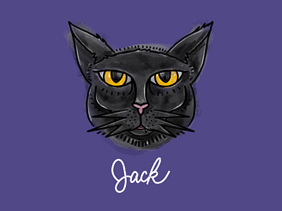 Jack the Black Cat atlanta cat design digitalart digitalpainting illustraion jack procreate script type typography