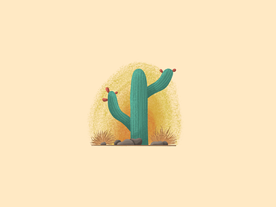 Saguaro cacti cactus cactus apple illustration rocks sunrise sunset tumbleweed