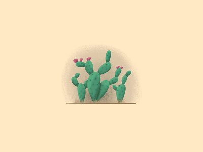 Prickly Pear cacti cactus desert desert plant dry illustration kreslet plants prickly pear sketch