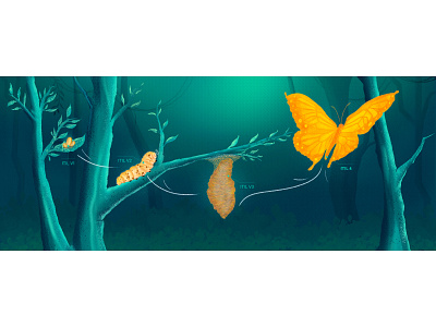 evolution of ITIL_v1 to v4 butterfly lifecycle comparison digital illustration freshservice blog freshworks graphic design illustration itil photoshop prasanna venkatesh venkatesh prasanna