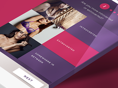 Lingerie App UI