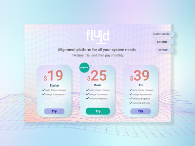 Fluid Price Range Web design graphic design landing page landing page design web web design