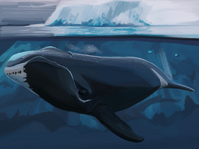 Bowhead Whale