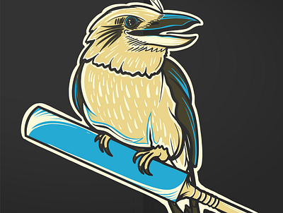 Kookaburra Cricket design graphicdesign illustrate illustrator logo logodesign
