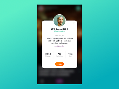 Popup Profile description followers following info ios iphone likes profile social ui user ux
