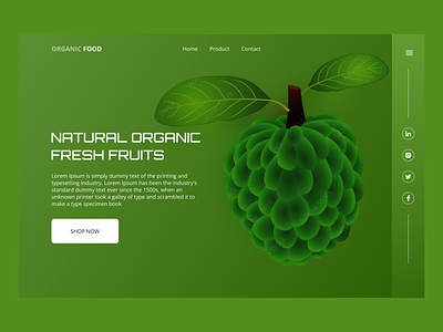 Organic Fruits Website (Header)