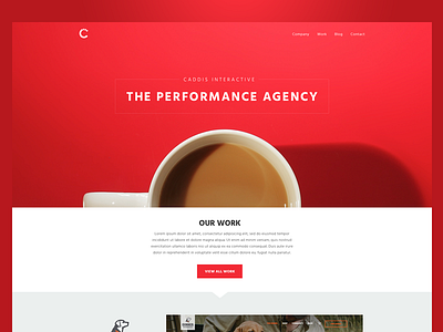 Caddis Interactive Website agency clean modern website