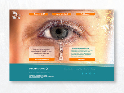 CAD: disease eduction website design brand design minimal ui ux web webdesign website website design