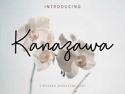 Kanazawa Monoline Typeface branding handwritten illustration ishikawa japan kanazawa logotype script typography