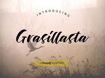 Grasillasta Script Typeface branding calligraphy handmade handwritten illustration logotype script typeface typography