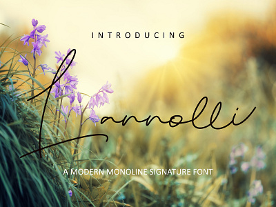 Lannolli typeface