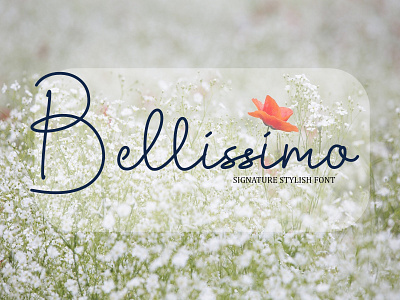 Bellissimo Typeface