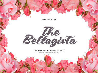 the bellagista Typeface branding design handmade handwritten handwritting illustration logotype script scripture typeface typography