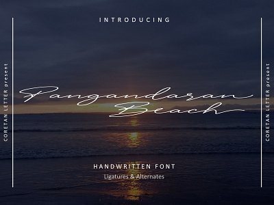 Pangandaran Beach Typeface beach branding font handmade handwritten illustration logotype pangandaran script scripture typeface typography