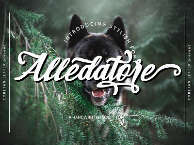 Alledatore Font branding handwritten illustration logotype script typography